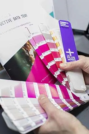 Person looking at color swatches